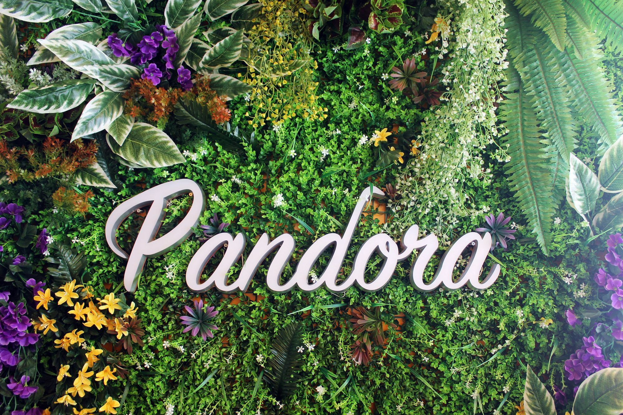 بيت شباب Pandora After 80S هونغ كونغ المظهر الخارجي الصورة